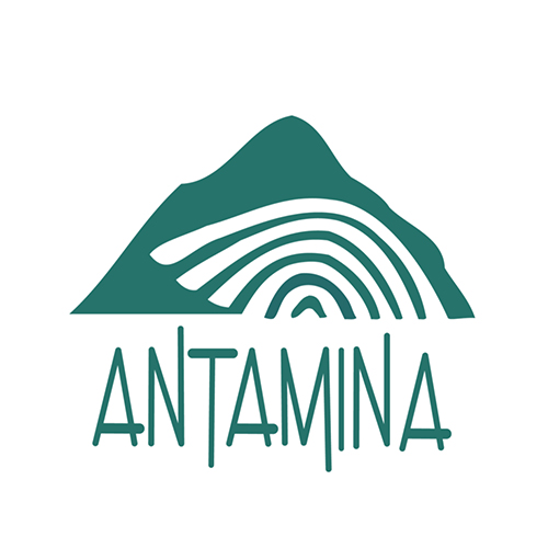 COMPAÑÍA MINERA ANTAMINA