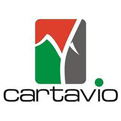 CARTAVIO S.A.A.